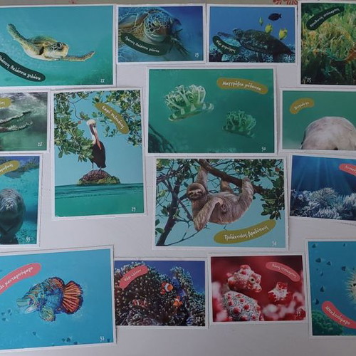 Vasilopoulos Stickers Explore the Ocean New Collection 1-102 with 5 Tattoos
