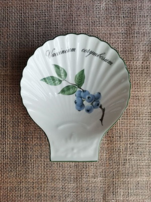 Apilco porcelain shell plate vintage like new, made in France 1998