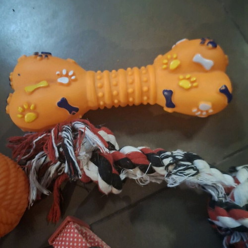 Pet toys and leashes like new, 2 leashes, ball and 2 toys