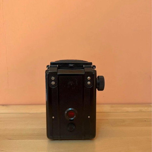 Lubitel 2 camera used with leather case