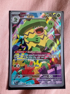 Pokémon card new