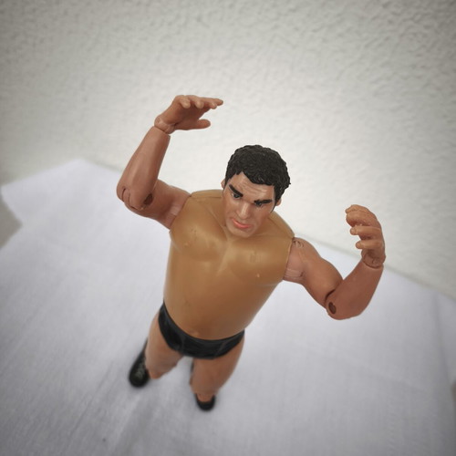 Andre the Giant FTC Legends of Pro Wrestling figure like new (2005)