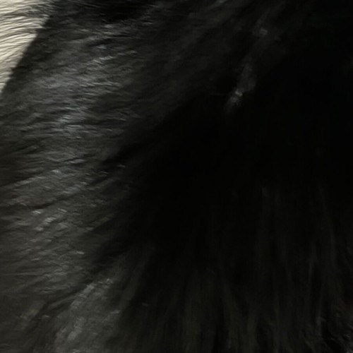 CLEARANCE SHIPPING UP TO 7/8!!! Half coat with real fox fur!!!!