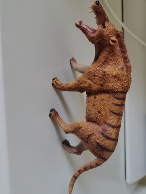 Andrewsarchus CollectA Deluxe figure like new, 1:20 scale