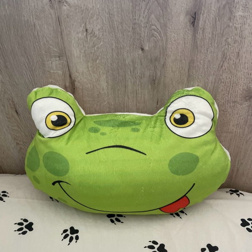 Frog pillow new
