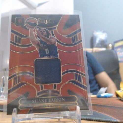 Panini Select EuroLeague Shane Larkin Patch Card near mint