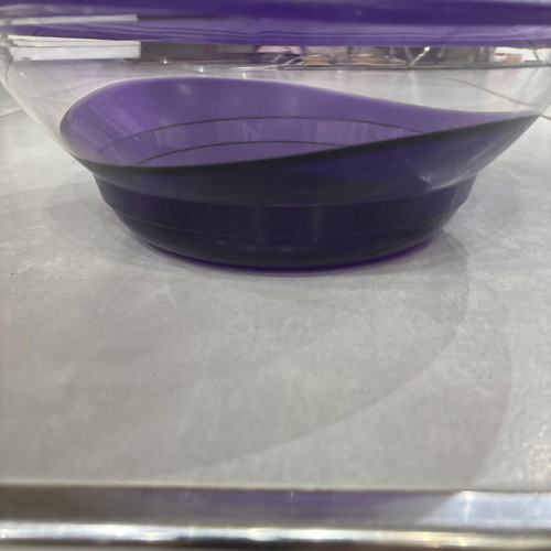 Tupperware Elegant Bowl 3.2 Liters new