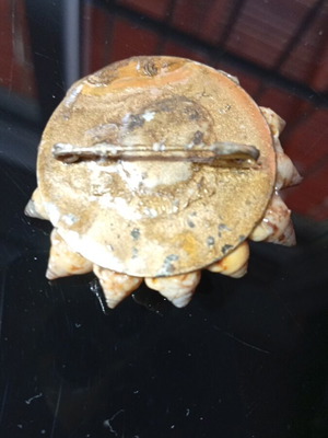 Brooch with seashells used