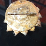 Brooch with seashells used