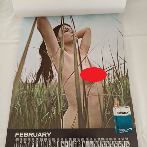 Kent Newport True rare 1971 wall calendar with semi-nude models like new