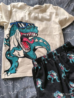 Dinosaur set used, colorful