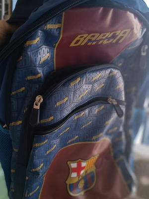 Barca school bag used with wheels for elementary boy