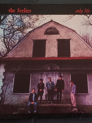 The Feelies Only Life βινύλιο μεταχειρισμένο, rock
