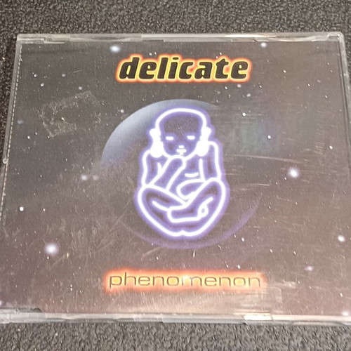 Delicate Phenomenon CD used, House Pop Rap