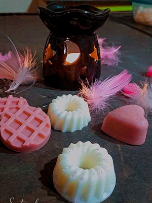 Wax melts from soy plant wax, 12 pcs with tiramisu and watermelon-strawberry scent