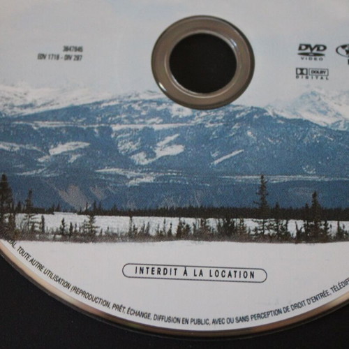 Into the Wild DVD like new