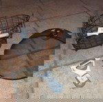  Είδη Κουζίνας : Προστατευτικό Τροφίμων Ø29X10 cm / Στραγγιστήρι Μαχαιροπήρουνων / Αποφλοιωτής 3 σε 1