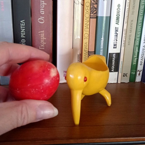 Vintage collectible kiwi with alabaster egg used