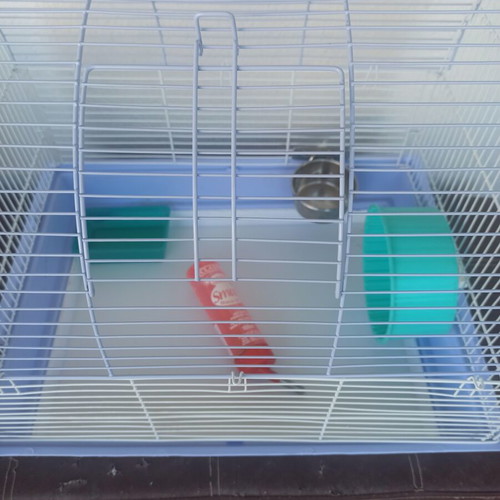 Hamster cage used, with cleaning drawer