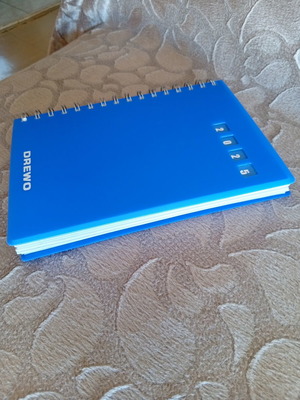 Drewo 2025 diary large