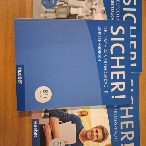 Sicher B1 German books like new