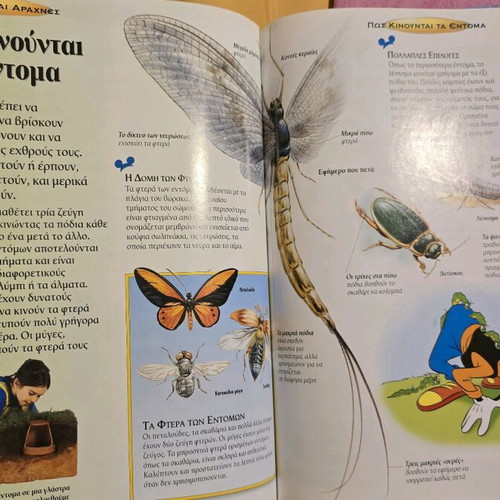 Disney Children's Encyclopedia
