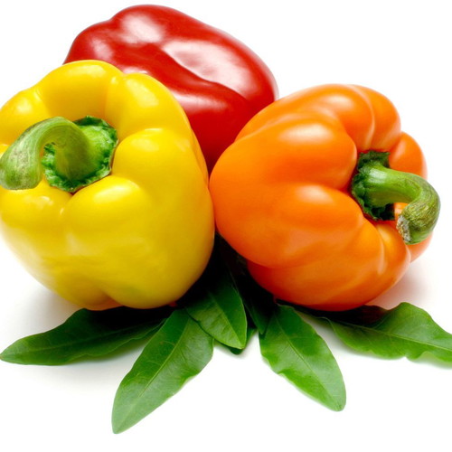 Sweet multicolored pepper seeds pack of 10