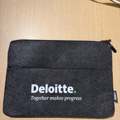Laptop iPad case new made of felt