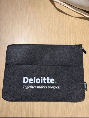 Θήκη laptop iPad καινούργια από τσόχα