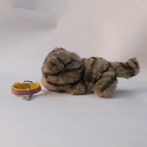 Stuffed cat used, small