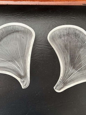 Shell-shaped bowls like new, pack of two