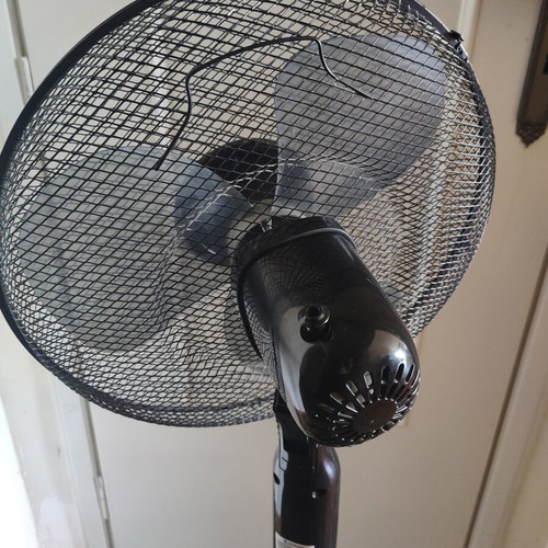 Morris MFS-16236 standing fan like new, black, 40W, adjustable height