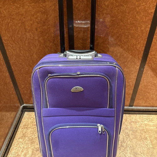 Ousike trolley suitcase purple used, ideal for travel