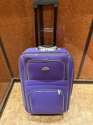 Ousike trolley suitcase purple used, ideal for travel