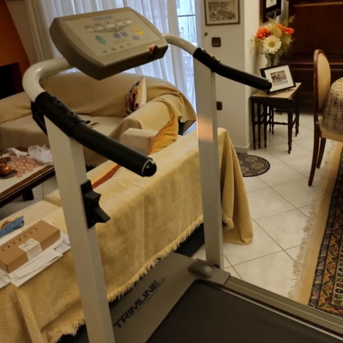 Trimline 2650 treadmill