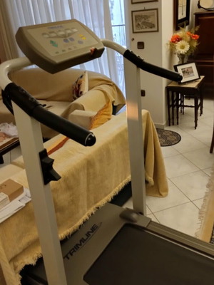 Trimline 2650 treadmill