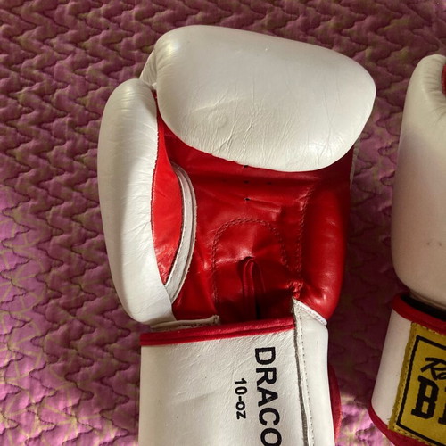 Benlee Rocky Marciano Draco 10oz boxing gloves
