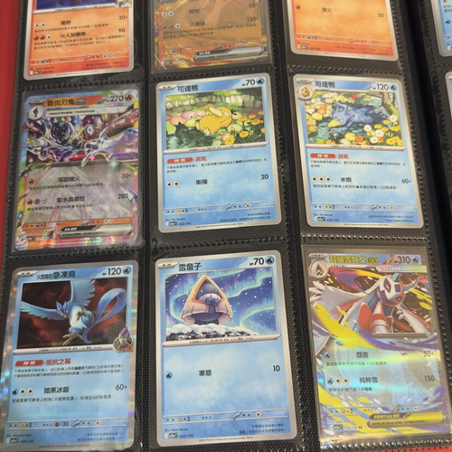 Pokémon Binder with Full 1-193 Ascended Hero Set in Traditional Chinese, mint