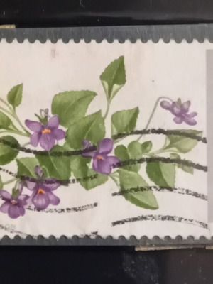 Γραμματόσημο British Wild Flowers μεταχειρισμένο, 1967 Dog Violet
