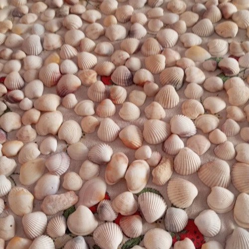 Sea decorative elements like new for crafts and home decoration