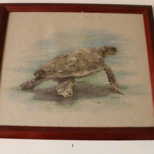 Turtle print frame like new, 34x29