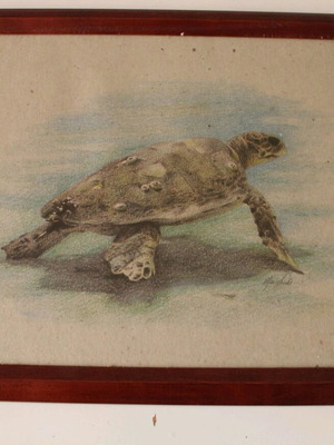 Turtle print frame like new, 34x29