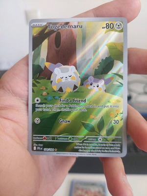 card holders for pokemon cards Dragonscale Supplies | Gradient Magnetic Holders main image 0
