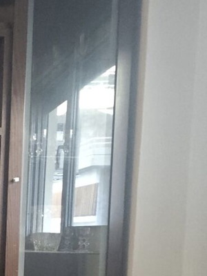 Showcase new oak wood height 2.30 meters wenge color