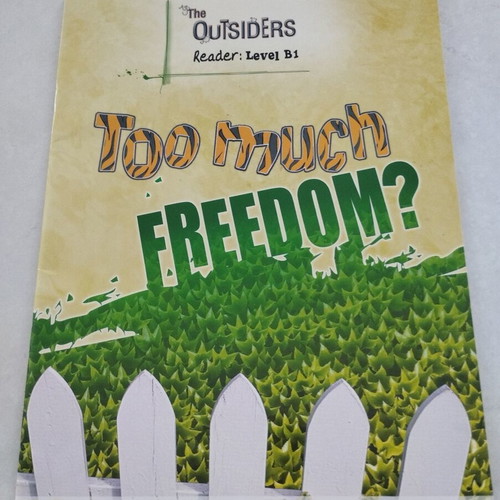 The Outsiders Readers Set B1 B1+ B2 by Hillside Press new