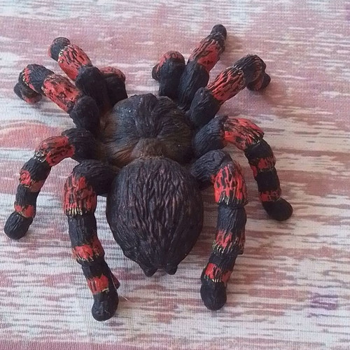 Spider tarantula animal figure used