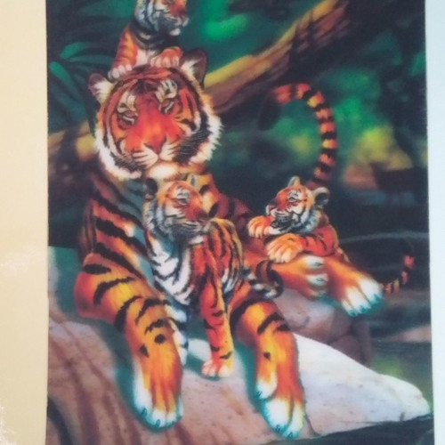 3D Παζλ A Family Of Tigers In The Jungle 500 Κμτ. μεταχειρισμένο