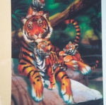 3D Παζλ A Family Of Tigers In The Jungle 500 Κμτ. μεταχειρισμένο