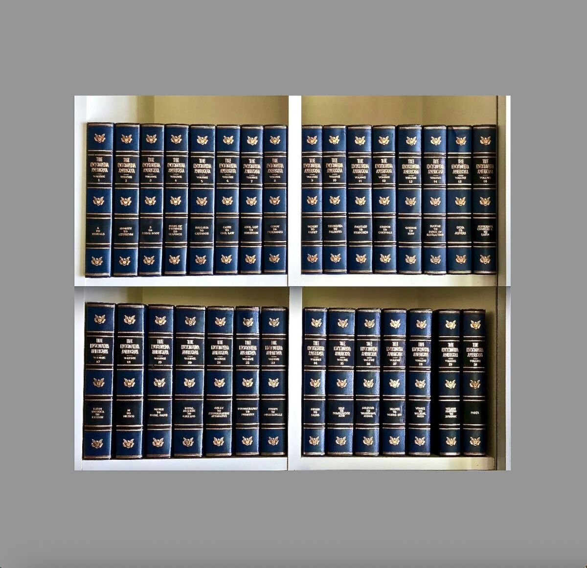 The Encyclopedia Americana 30 Volume… - € 250,00 - Vendora.cy