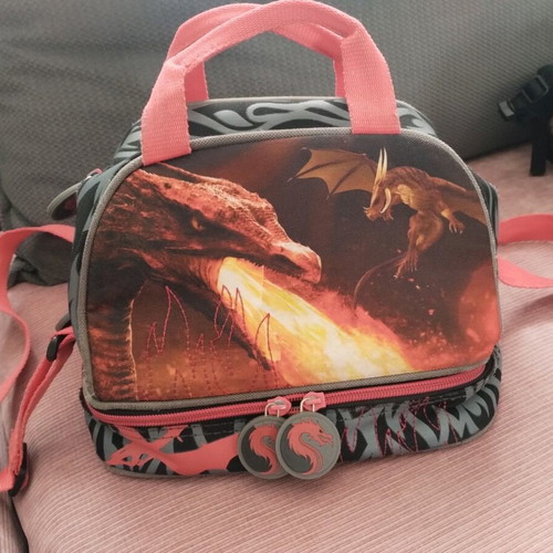 Insulated lunch bag Dragon used, 2 compartments